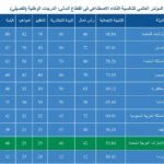 السعودية والإمارات تقودان الحضور الخليجي في مؤشر الذكاء الاصطناعي المالي العالمي