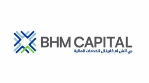 BHM Capital Launches AI Consulting Division